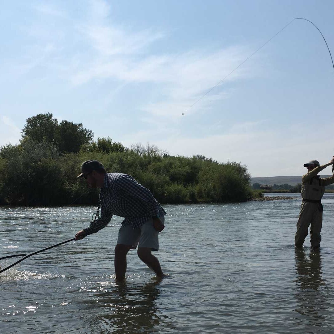 Fishing Reports - Cottonwood Camp on the Bighorn
